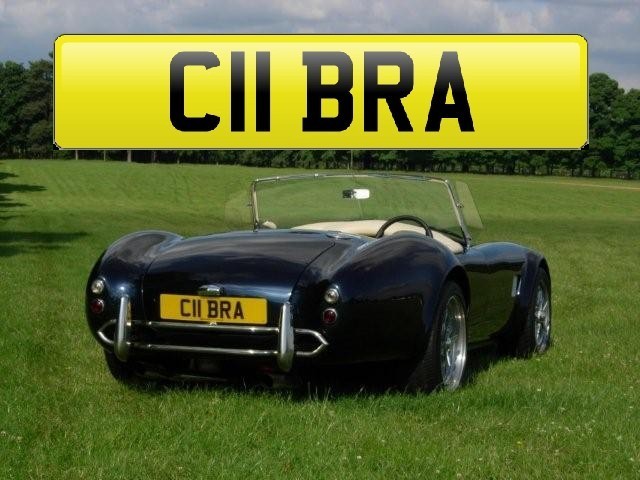 ram sec ac cobra replica rear plate