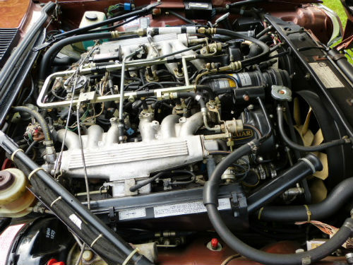 1981 Jaguar XJ-S 5.3 V12 HE Engine Bay 2