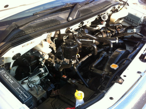 Nissan elgrand engine #2