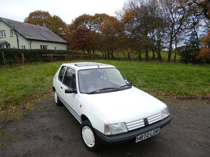 1990 Peugeot 205 1.1 Look 1