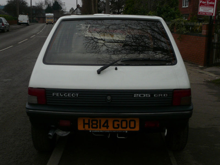 1991 Peugeot 205 GRD Back