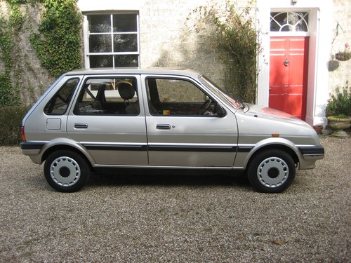 1991 Rover Metro 1.3 GS Side